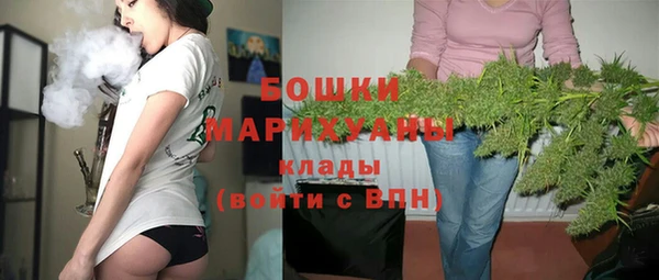гидра Зеленодольск