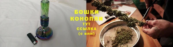 крисы Зеленокумск