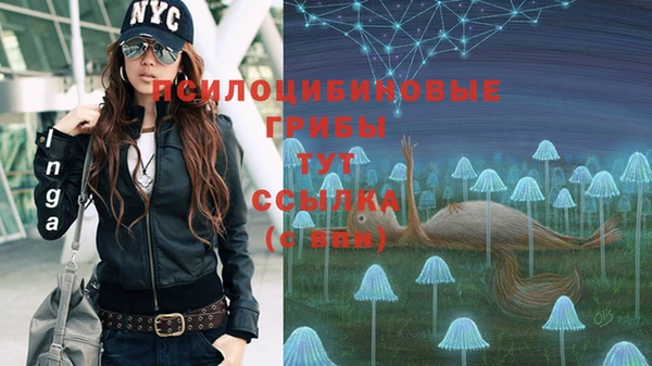 крисы Зеленокумск