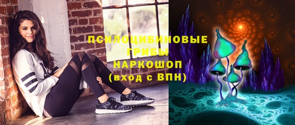 гидра Зеленодольск