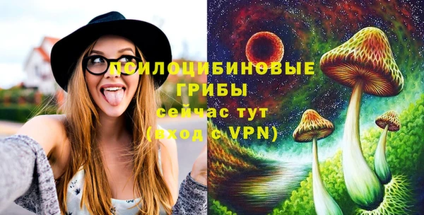крисы Зеленокумск