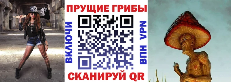Купить закладки  Горняк  Псилоцибиновые грибы Magic Shrooms 